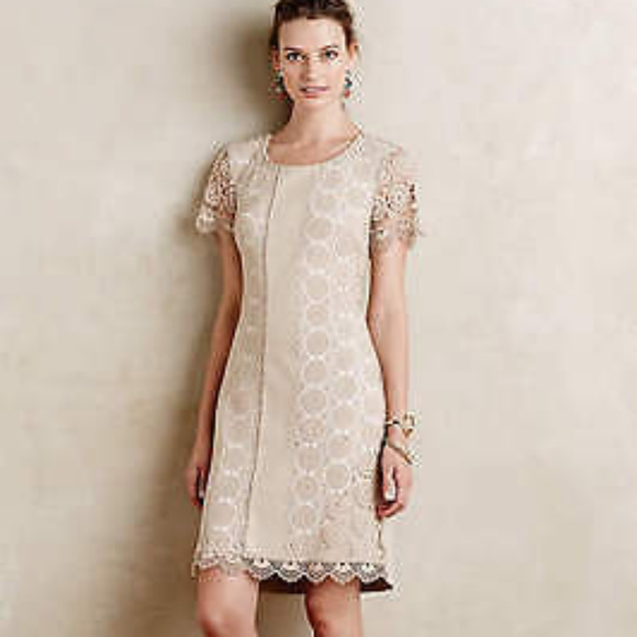 BAILEY 44 NWT Leather/Lace Shift Dress S/P Neutral